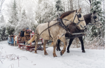 Sleigh Ride Scented Aroma Beads